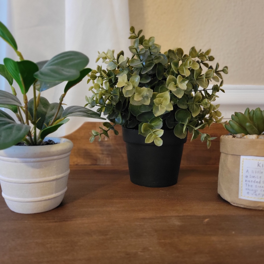 Artificial Eucalyptus Plant in Green Pot - Home Accents - Picture 5 of 5